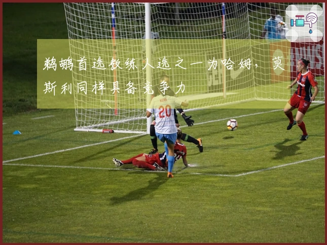 鹈鹕首选教练人选之一为哈姆，莫斯利同样具备竞争力