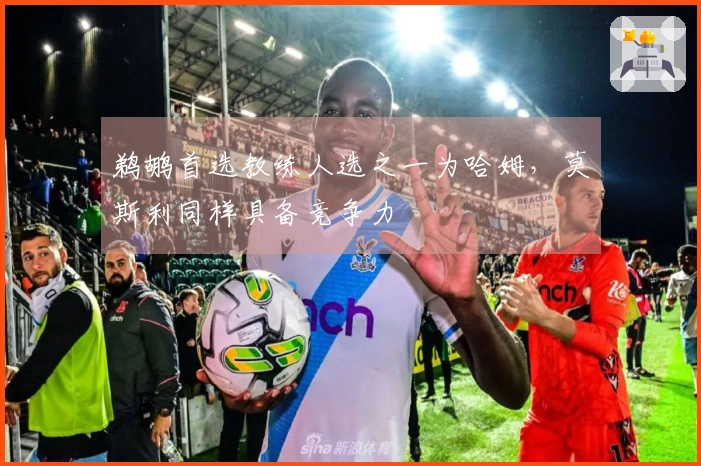 鹈鹕首选教练人选之一为哈姆，莫斯利同样具备竞争力