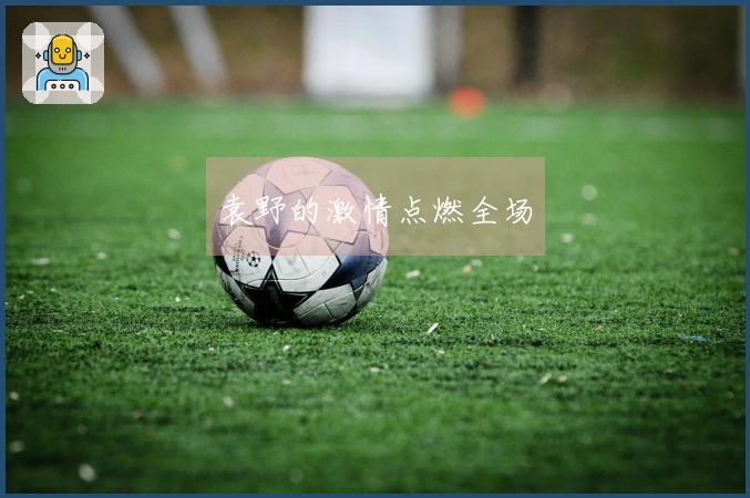 袁野的激情点燃全场